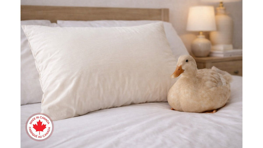 Duck Down vs Duck Feather Pillows: A 2026 Comparison