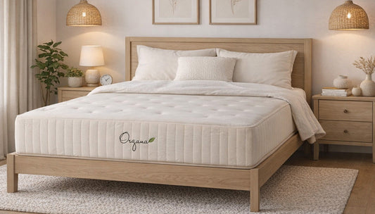The Best, Least Expensive Organic Mattress in Manitoba