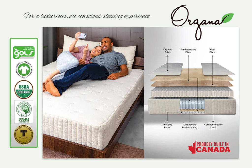 Organic Mattresses Winnipeg: Discover Best Natural Sleep