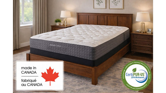 Best Mattresses for Back Pain: Firmness Guide 2026