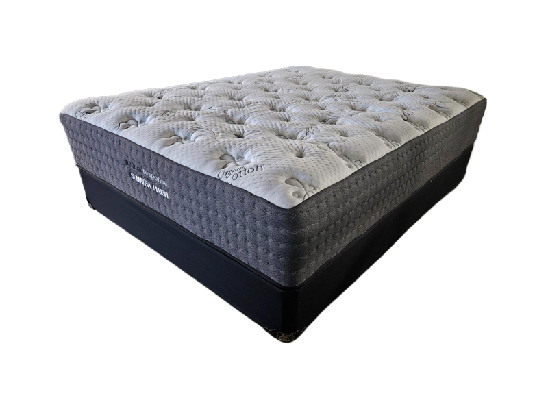 Sumatra Plush Tight Top 13" Floor Model QUEEN ONLY