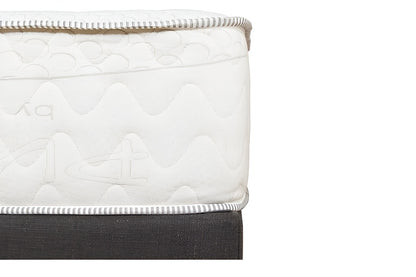 Best Sleep Centre Inc. Costa Memory Foam Mattress Queen Only