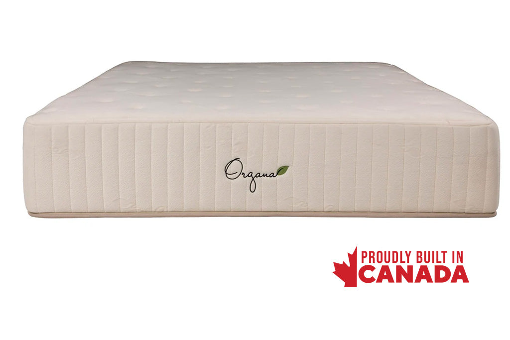 Best Sleep Mattress Organa Super Plush 12" Organic Mattress
