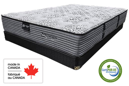 King Koil Mattress Twin / Mattress Only Amadeo Tight Top 12"