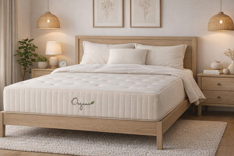 Organa Plush 10" Organic Mattress Floor Model QUEEN ONLY