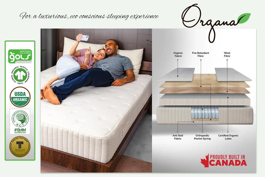 Organa Super Plush 12" Organic Mattress Queen Demo/Floor Model
