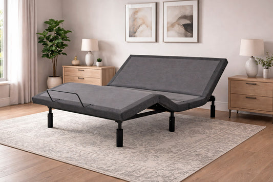 W. Silver Products Electric Adjustable Beds Dover Comfort-N-Motion Lifestyle Adjustable Bed (SS-42)